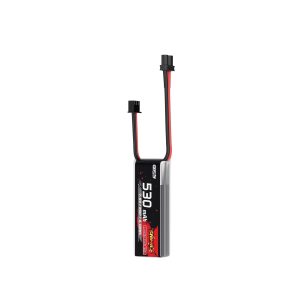 2S Batteries